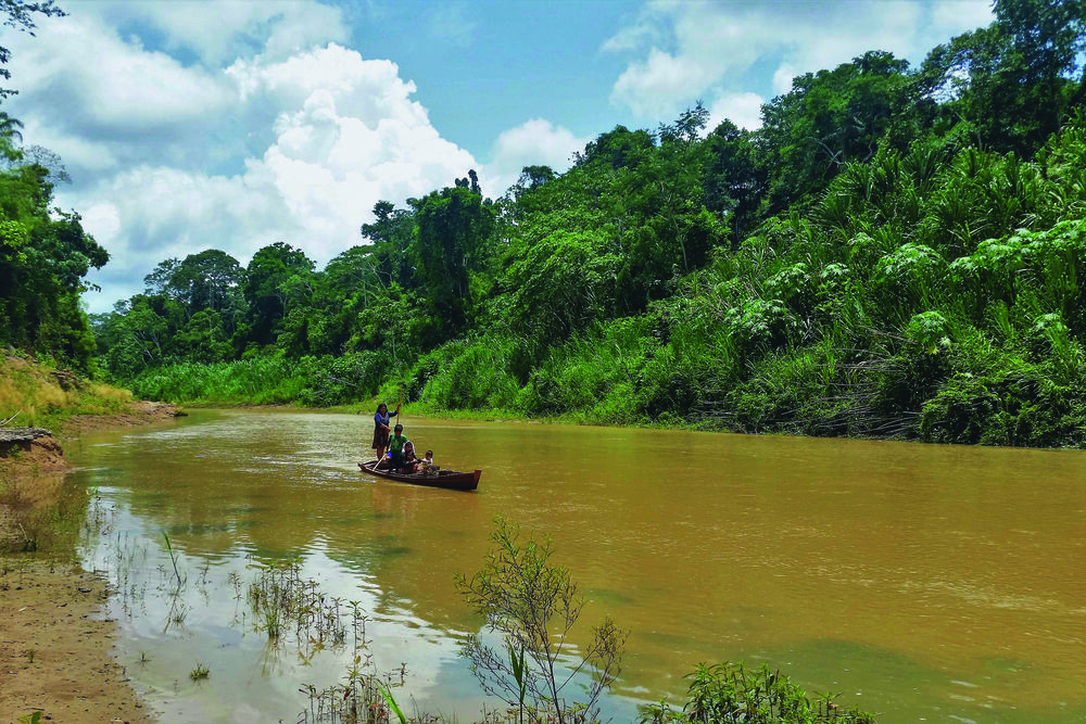 Schützenswert: Das Waldschutzprojekt in Peru schützt den Regenwald 